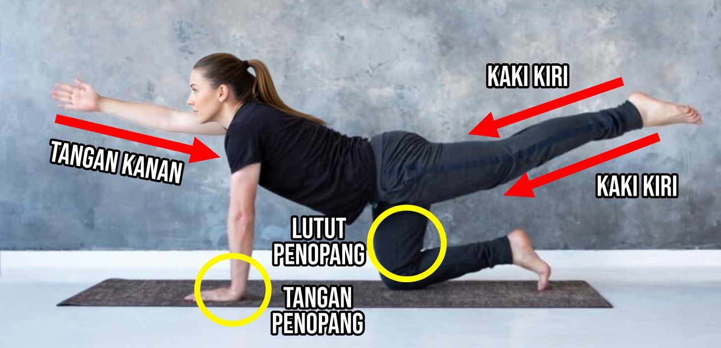 Berusia di Atas 60 Tahun? Latihan Ini Membantu Meningkatkan Kekuatan Inti dan Mobilitas