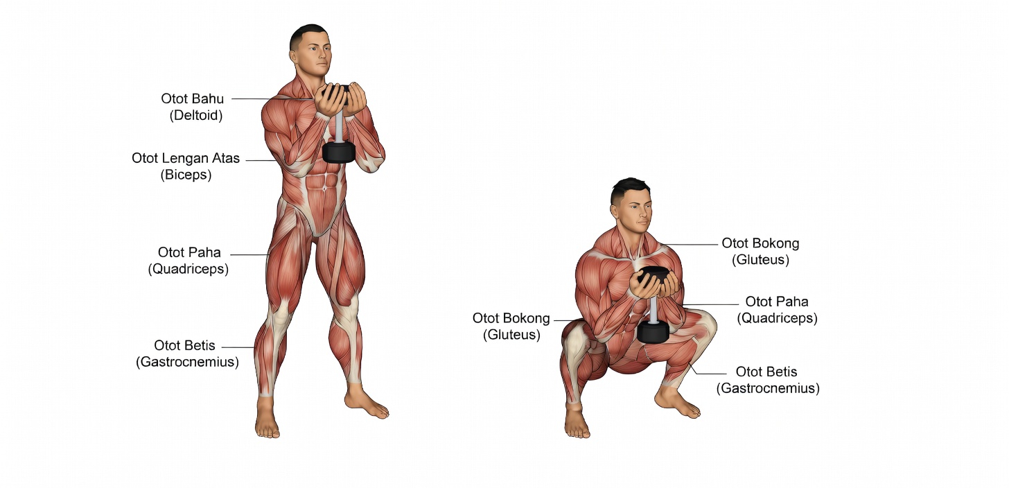 Berusia di Atas 60? Bangun Kekuatan di Rumah dengan Latihan Dumbbell 10 Menit Ini
