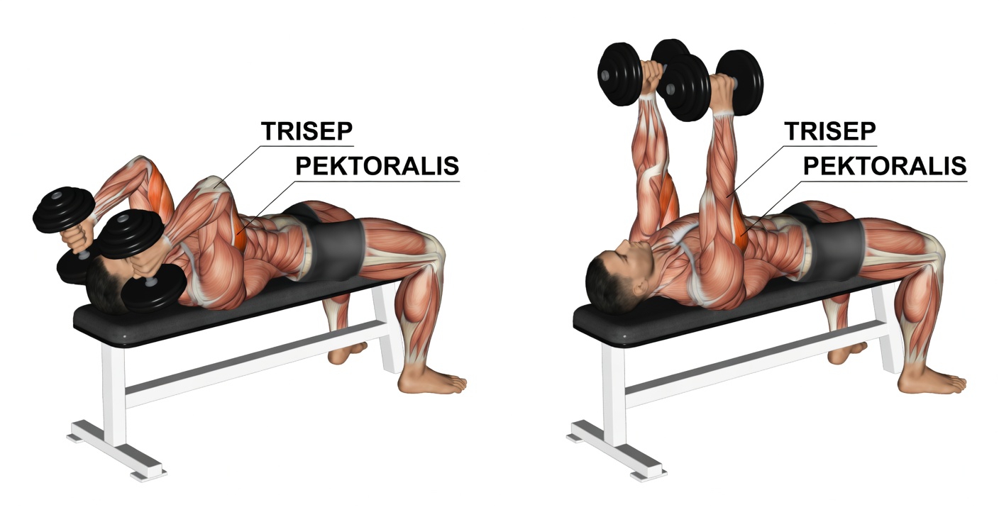 Bangun Trisep Besar dengan Latihan-Latihan yang Diremehkan Ini