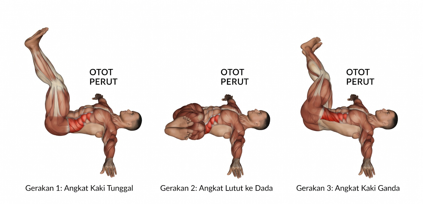Pelatih Bilang, Hilangkan Perut Buncit dengan Cepat dengan Latihan 15 Menit Ini