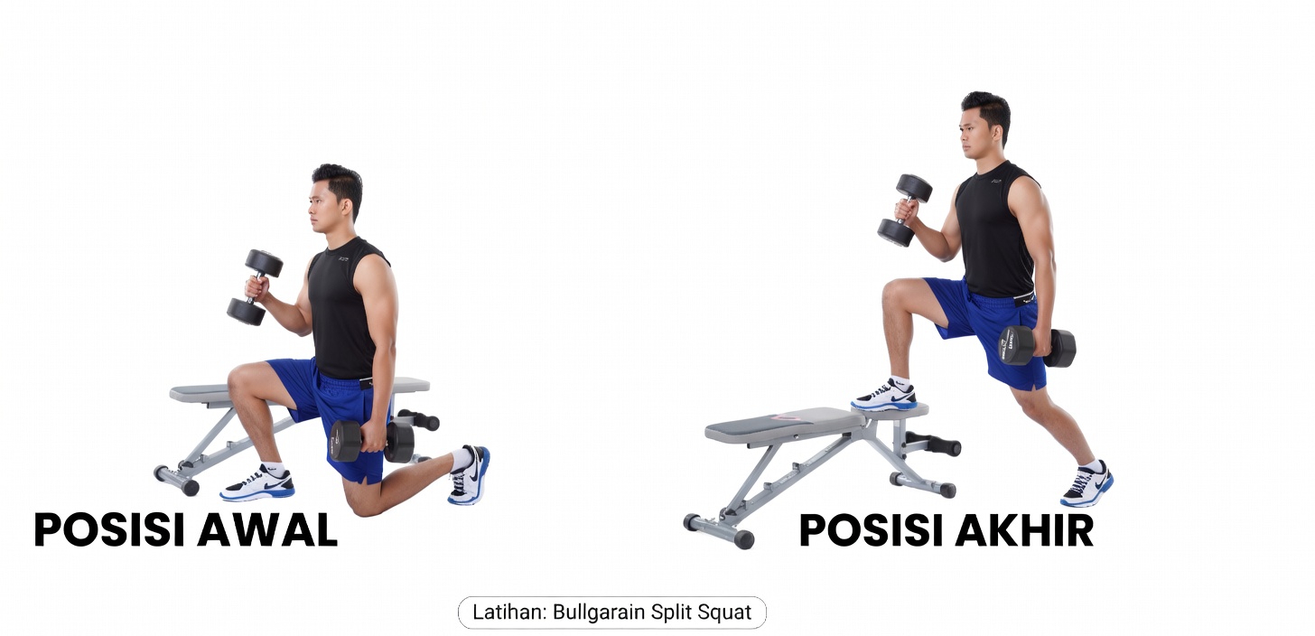 Bulgarian Split Squat: Satu-Satunya Latihan yang Anda Butuhkan untuk Membesarkan Otot Paha Depan Anda