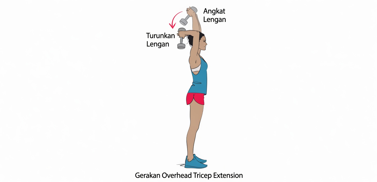3 Latihan Terbaik untuk Lengan Kendur — Latihan yang Anda Harap Sudah Anda Ketahui Lebih Awal