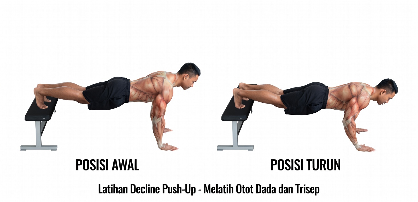 Cara Menghilangkan Payudara Pria – Hanya 5 Latihan Dada yang Anda Butuhkan